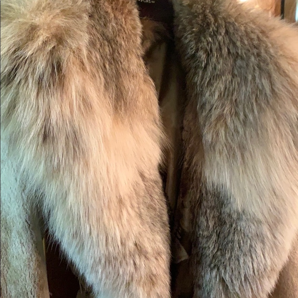 Sable/mink - Picture 2 of 6